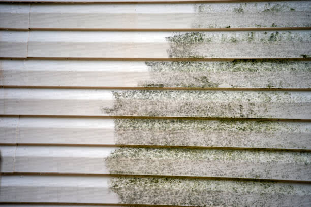 Best Siding Painting and Refinishing  in Perry, UT